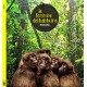 Le femmine del babbuino - ebook